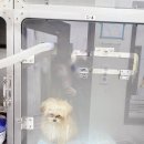 새로이동물병원 이미지