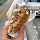 원주 디저트 간식 와플대학 메뉴 칼로리 가격