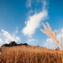 천상골가든 이미지