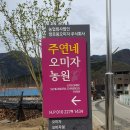 주연농원