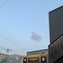카페플랜트(cafe plant)