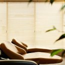 제니하우스 이미지