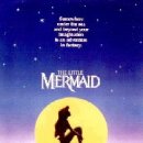 주식회사 라이온 플러스 이미지