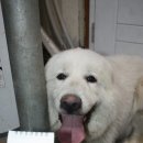 새말편의점