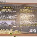 청정흑우촌 네이버블로그