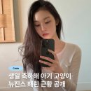 생일 축하해 아기 고양이 뉴진스 해린 근황 공개
