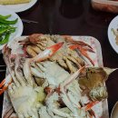 게(Crab) 파티 이미지