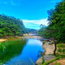 노랑펜션 이미지