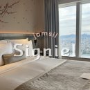살롱드쉼 | 시그니엘 서울 호캉스 후기 | 그랜드 디럭스 리버뷰 & 살롱 드 시그니엘 라운지, 수영장 이용 후기