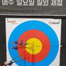 거대한피자