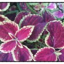 공공용 65 이미지