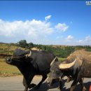 선경자전거 이미지