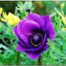 대천농장 이미지