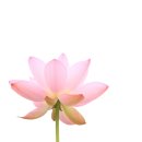 오석산정신요양원 이미지
