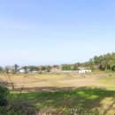 제주탄탄공인중개사사무소 이미지