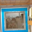 추자 피싱스토리 민박 이미지