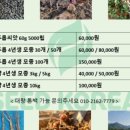 (주)제이씨코리아 이미지