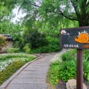 어린왕자게스트하우스 | 전주어린왕자게스트하우스 이용후기