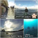 김용겸 | [세부 스쿠버다이빙] 다이빙 외 일정이 더 기대되는 김용겸님 후기♡
