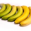 바나나 꾸준히 먹었더니…중년에 특히 좋은 이유? 이미지
