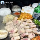 대도백양 이미지