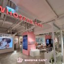 카에이드 이미지