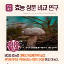 폐암 티스토리