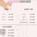 오늘의 개스트 이미지