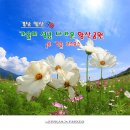 황산공원 배구장 이미지