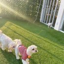 은계유치원 이미지