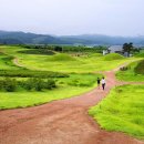 의성군청(1층) 이미지