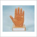 더미통상 이미지