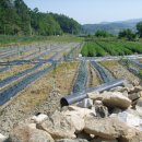 두산농장 이미지