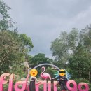 엠스파짐 | [푸꾸옥 여행]26.1.19. 5일차 엠빌리지리조트, 빈펄 사파리 꿀팁, 오션스파, 귀국!