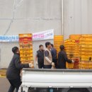 성산일출봉농업협동조합 영농자재지원센터 | 성산일출봉농협, 2025년 폐 플라스틱 농산물 운반상자(폐 컨테이너) 교환사업 실시 [2025. 5.20 화]