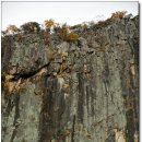 학소대(인각사 앞) 이미지