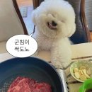 단돈숯불구이 언양점