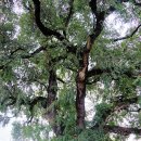 송생리경로당 이미지