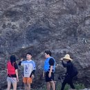 거북바위회식당
