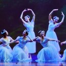 수원발레축제 이미지