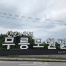 무릉도원면-33 이미지