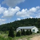 고요한 숲 | 숲 속 감성 숙소 ‘고요한 숲’ 후기 🌿 유럽 감성 조식이 있는 시골 에어비앤비