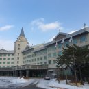 하이원C.C사우나 이미지