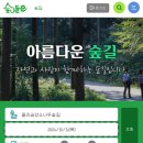 [울진금강소나무숲길예약] 3-1구간 화전민옛길 및 점심 후기(feat.병정소나무, 부채소나무)