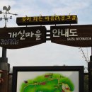 마을물고기 이미지