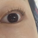 뽀글뽀글&눈썹 이미지