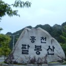 홍천심마니
