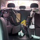 에덴동물병원 | 🏔 [여수 봉화산 백패킹 탐방기]“여수 사람도 잘 모르는 숨은 야영지(野營地)”