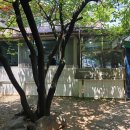 국수나무목동 - 양천구 목동서로 377 | ​목동 신정동 로컬 맛집 '살구나무집 칼국수' 반찬 구매 정보까지!
