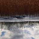 남해군 풍경 이미지